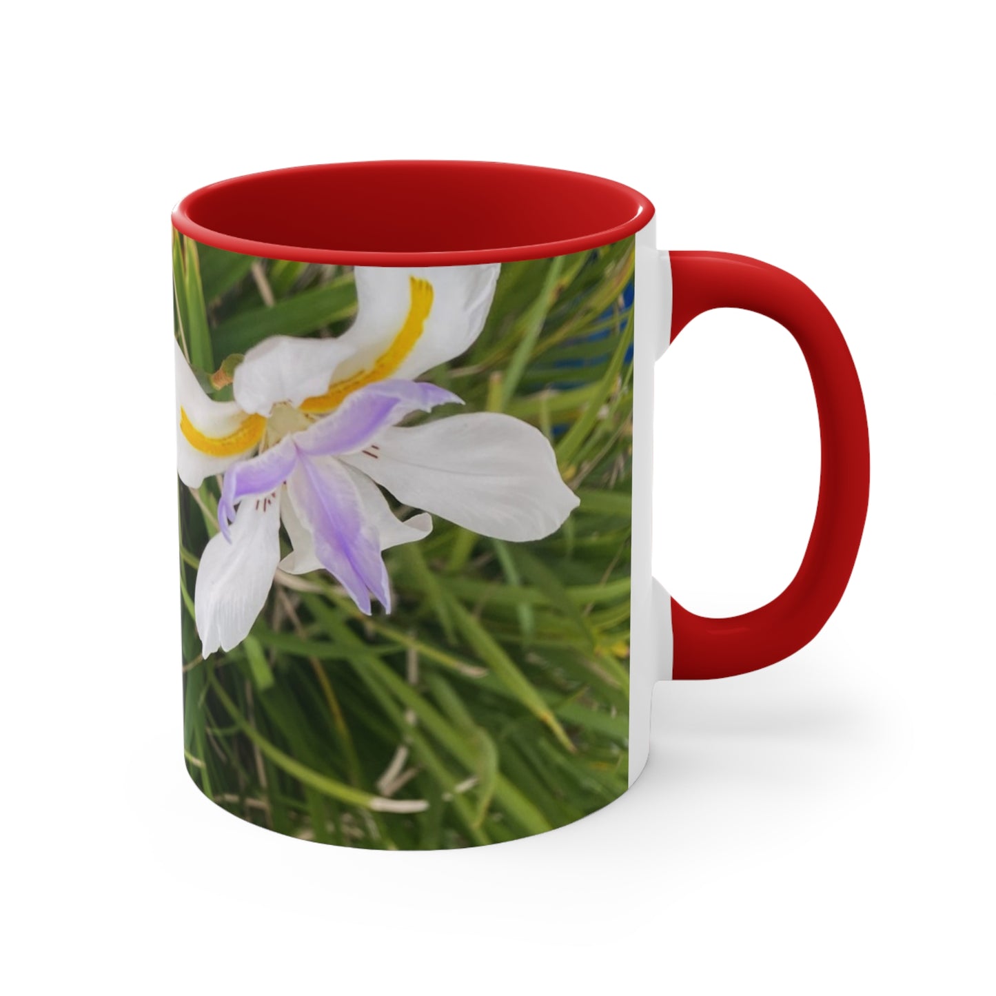 800- Mug - Colorful Accent 11oz - I Love You, You Are Beautiful & Sweet as Flowers